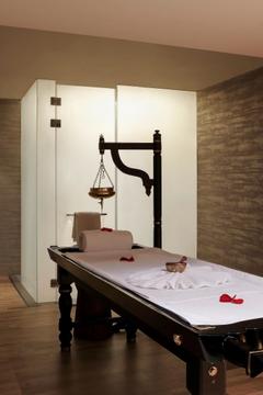 Отель Novotel New Delhi Aerocity Индия, Дели, фото 280