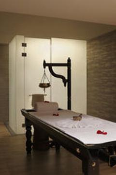 Отель Novotel New Delhi Aerocity Индия, Дели, фото 297
