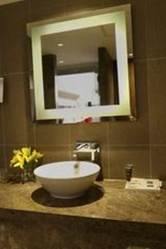 Отель Novotel New Delhi Aerocity Индия, Дели, фото 32