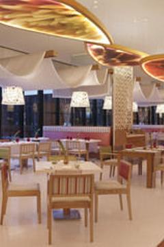 Отель Novotel New Delhi Aerocity Индия, Дели, фото 38