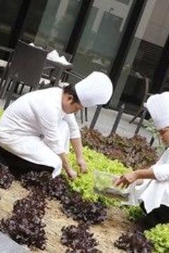 Отель Novotel New Delhi Aerocity Индия, Дели, фото 63