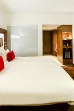 Отель Novotel New Delhi Aerocity Индия, Дели, фото 93