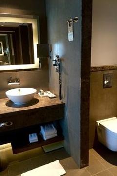 Отель Novotel New Delhi Aerocity Индия, Дели, фото 10
