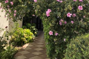 Отель Эдем Россия, Махачкала, фото 3