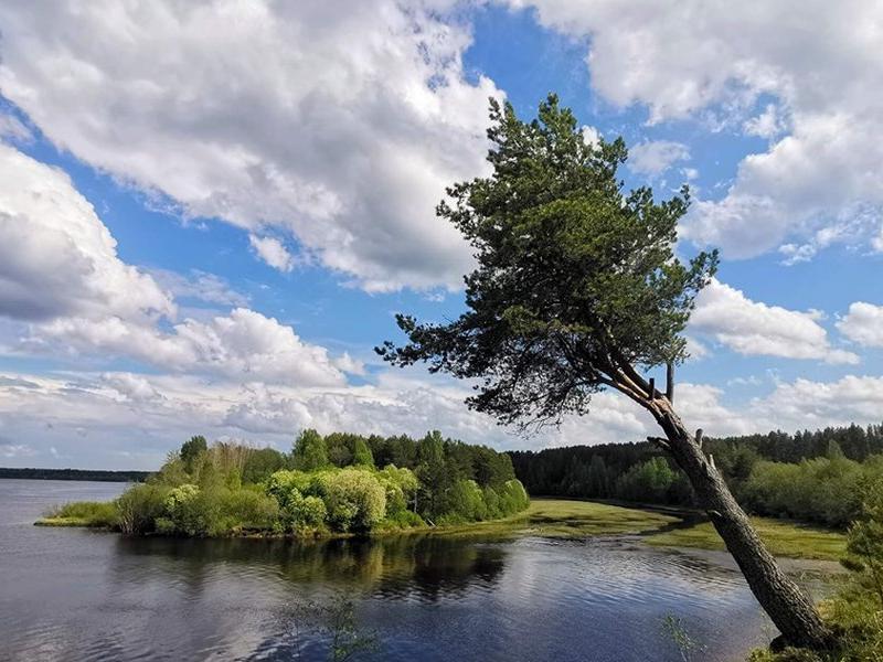 Точка На Карте Лодейное Поле