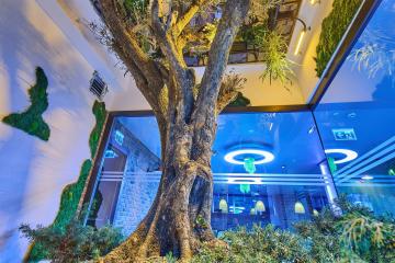 Отель Ibis Istanbul Airport (Arnavutkoy) Турция, Арнавуткёй, фото 16