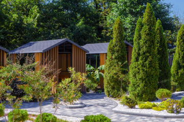 Отель Cosmos Smart Sochi Tivoli Hotel Россия, Сочи, фото 10