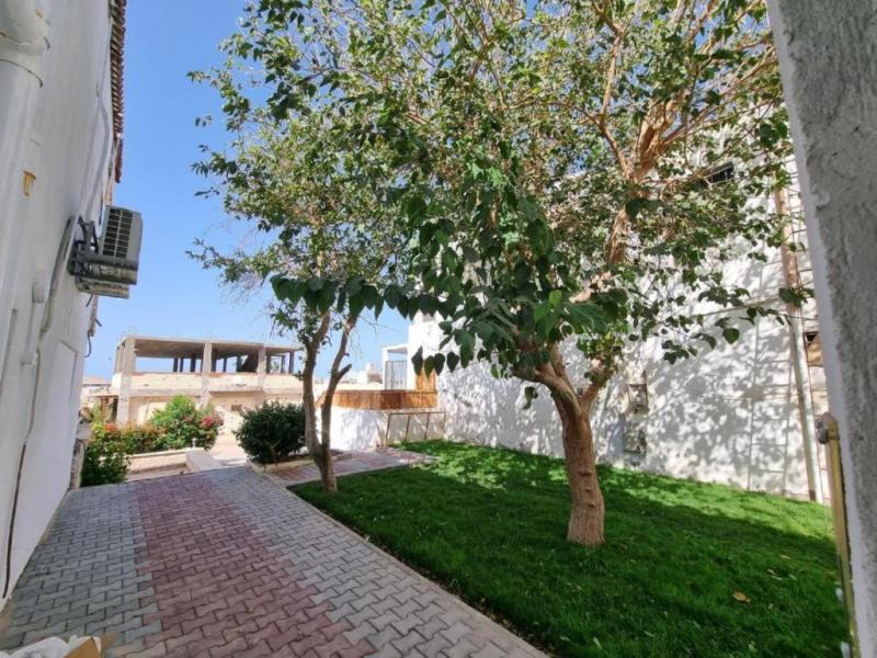 Lilly Rooms and Studios