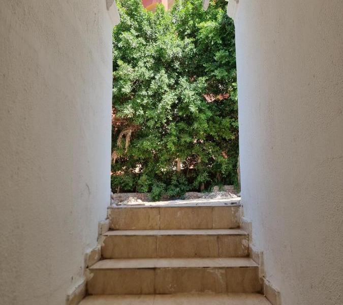 Lilly Rooms and Studios