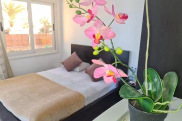 Отель Lilly Rooms and Studios Египет, Хургада, фото 27