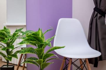 Отель Margot Россия, Санкт-Петербург, фото 43