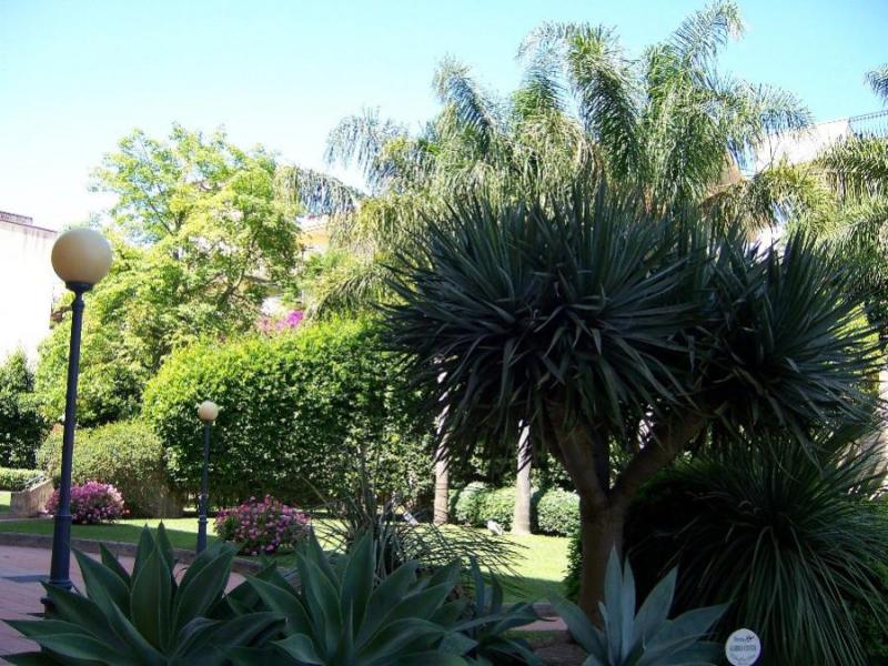 Excelsior Palace Terme