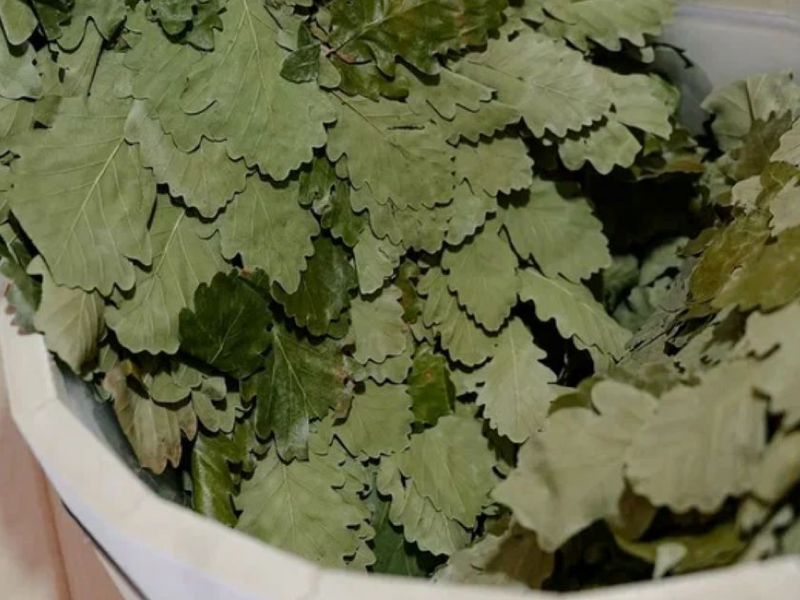 Сенатор НеоЛит