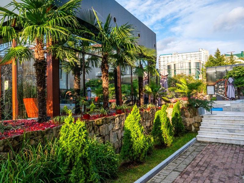 Сенатор НеоЛит