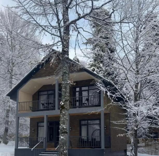 Green Park Arkhyz (ул. Банковская)