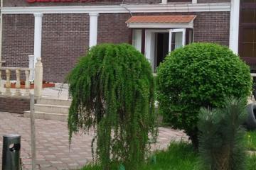 Отель Garden Hotel Россия, Москва, фото 2