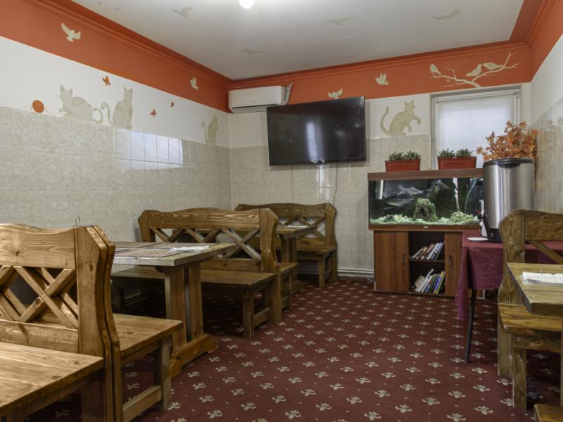 Home Hotel Внуково