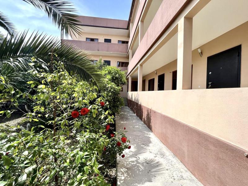 Калипсо (Цандрипш)