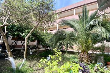 Отель Калипсо (Цандрипш) Абхазия, Гагра, фото 3