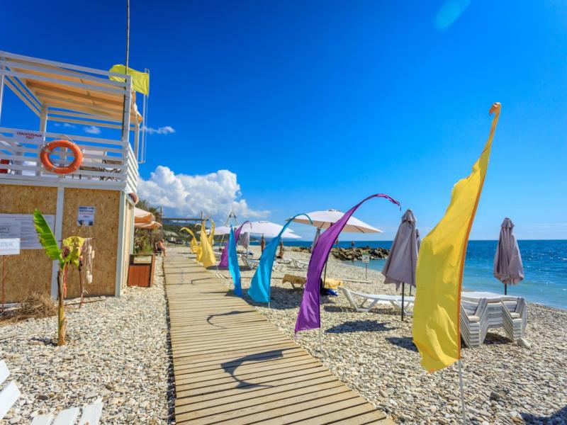 Отель Ардис