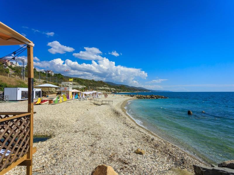 Отель Ардис