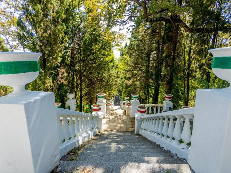 Отель Ардис