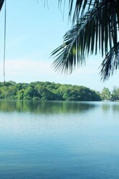 Отель River Side Villa Шри-Ланка, Галле, фото 18