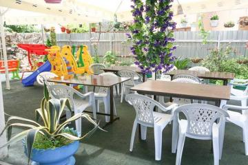 Отель Виолетта (ул. Таллинская) Россия, Сочи, фото 5