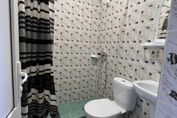 Отель Виолетта (ул. Таллинская) Россия, Сочи, фото 61