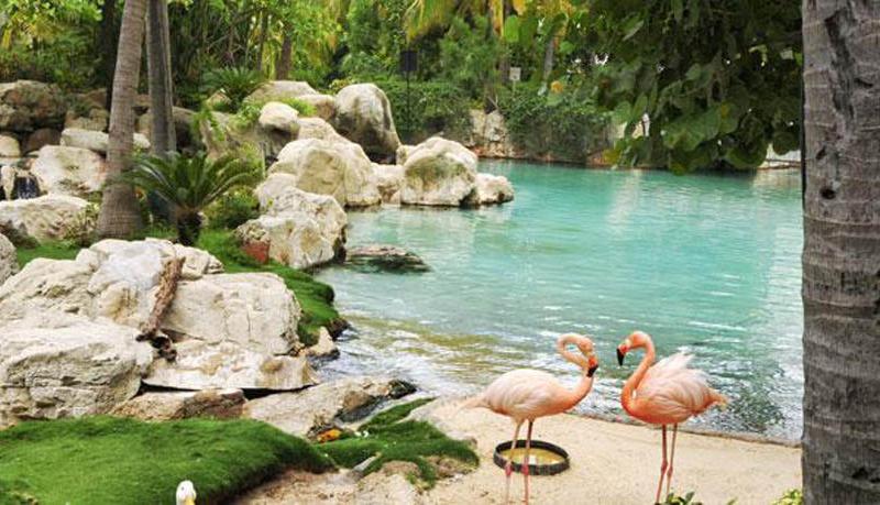 Princess Mundo Imperial