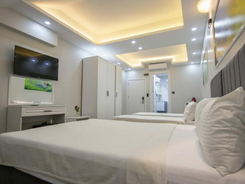 Hodegon Suite