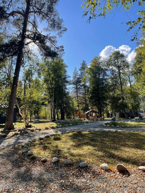 Sunshine