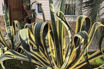 Отель Башня (Адлер ул. Герцена) Россия, Адлер, фото 4