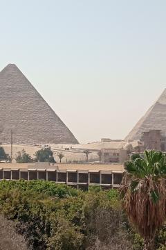 Отель Regency Pyramids Hotel Египет, Каир, фото 16