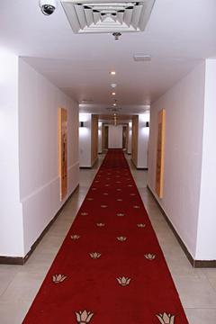 Отель Regency Pyramids Hotel Египет, Каир, фото 24