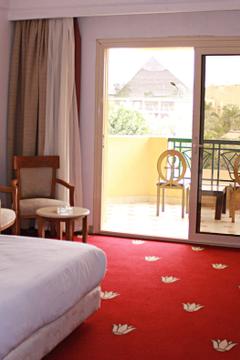 Отель Regency Pyramids Hotel Египет, Каир, фото 51