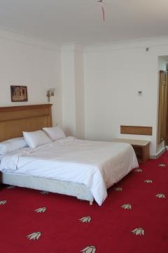 Отель Regency Pyramids Hotel Египет, Каир, фото 59