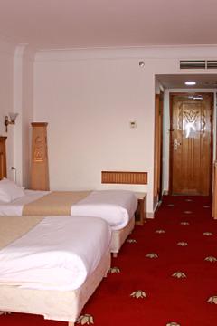Отель Regency Pyramids Hotel Египет, Каир, фото 63