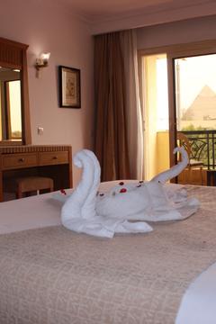 Отель Regency Pyramids Hotel Египет, Каир, фото 66