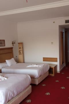 Отель Regency Pyramids Hotel Египет, Каир, фото 69
