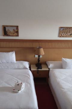 Отель Regency Pyramids Hotel Египет, Каир, фото 71