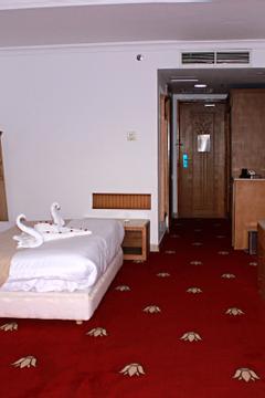 Отель Regency Pyramids Hotel Египет, Каир, фото 72