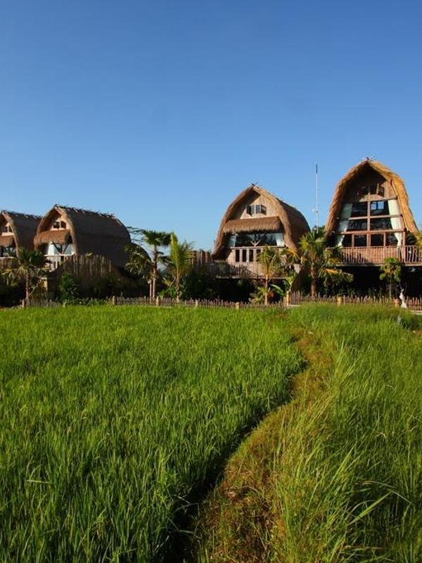 De Klumpu Bali Eco Tradi Stay