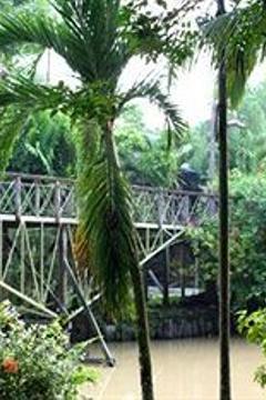 Отель Sepilok Jungle Resort Малайзия, о Борнео, фото 19