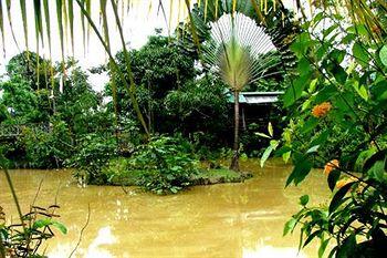 Sepilok Jungle Resort
