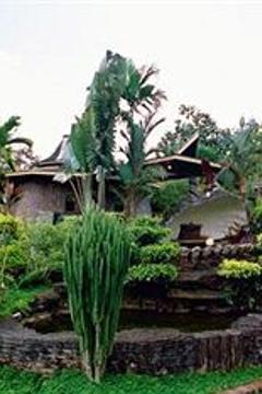 Отель Sepilok Jungle Resort Малайзия, о Борнео, фото 21