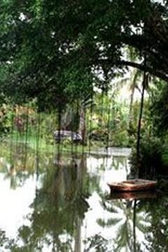 Отель Sepilok Jungle Resort Малайзия, о Борнео, фото 23