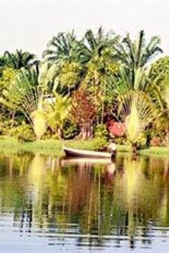Отель Sepilok Jungle Resort Малайзия, о Борнео, фото 24
