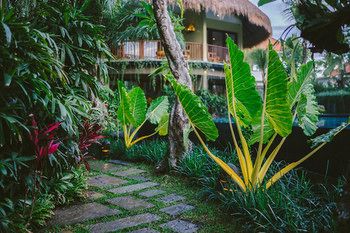 Отель Honai Resort Индонезия, о Бали, фото 44