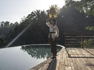 Cicada Luxury Resort - Ubud